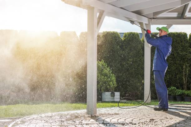 Best Patio and Deck Pressure Washing  in Farley, IA